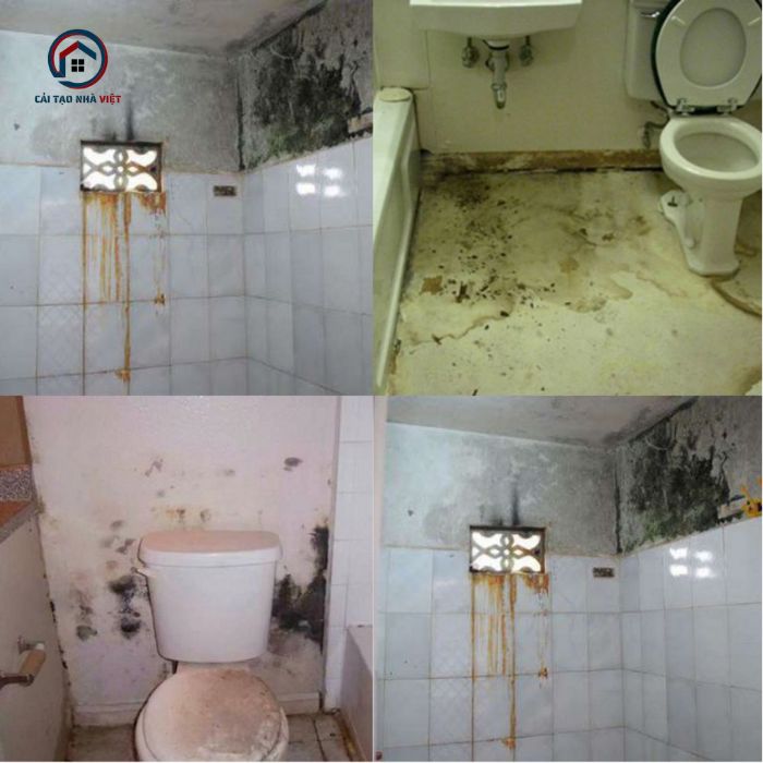 Nếu không có biện pháp chống thấm hiệu quả, công trình sẽ dễ bị ẩm mốc, bong tróc sơn, rạn nứt