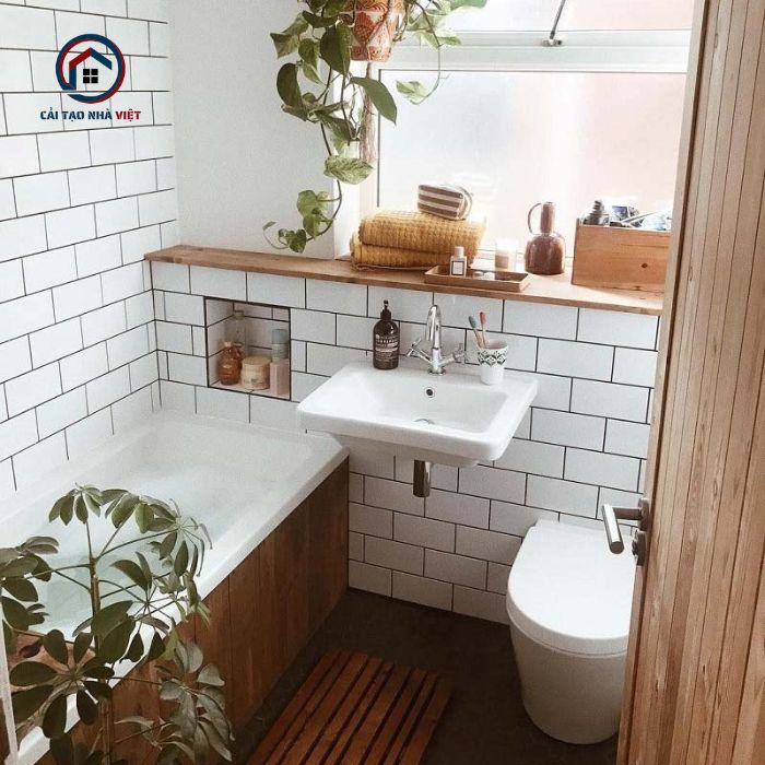 Cây xanh vừa có tác dụng trang trí, vừa có tác dụng lọc sạch không khí