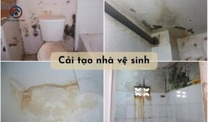 20+ ý tưởng cải tạo nhà vệ sinh hiện đại, sạch đẹp