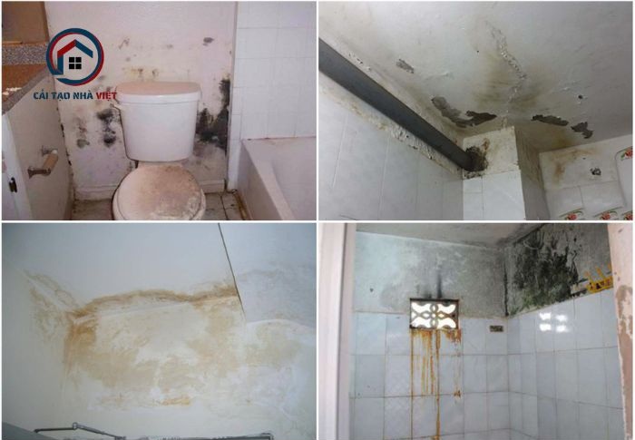 Cải tạo nhà vệ sinh là cơ hội để khắc phục những yếu tố xuống cấp như hệ thống ống nước, đường dây điện