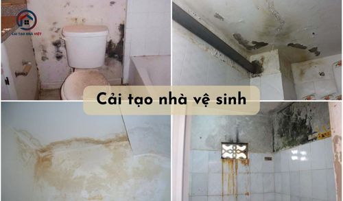 20+ ý tưởng cải tạo nhà vệ sinh hiện đại, sạch đẹp